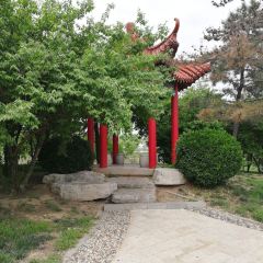 滨州大饭店·地中海自助餐厅 User Photo