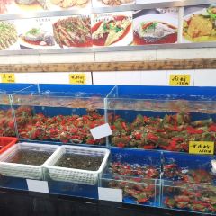 崖口人家 User Photo