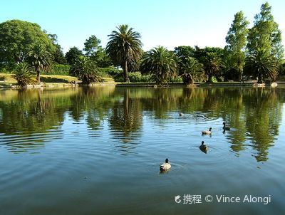 Rivera Park