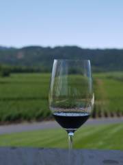 Grassy Creek Vineyard & Winery