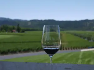 Grassy Creek Vineyard & Winery