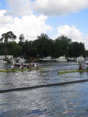 Henley Royal Regatta