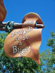 It's Tough to be a Bug!®