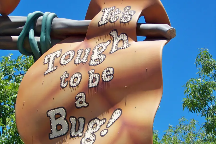 It's Tough to be a Bug!