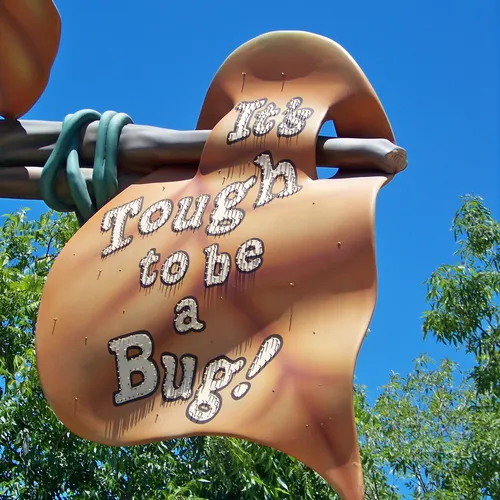 It's Tough to be a Bug!