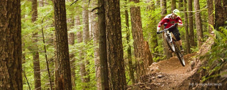 Forks Area Trail System