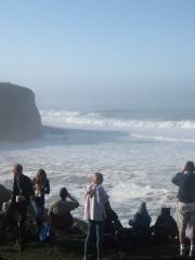 Mavericks Beach