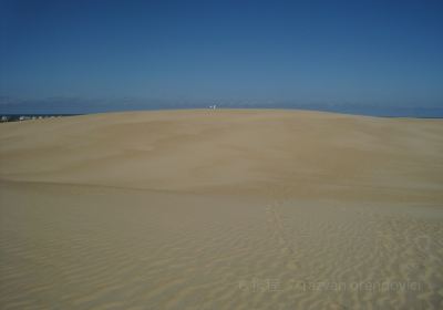 Parc d'État de Jockey's Ridge