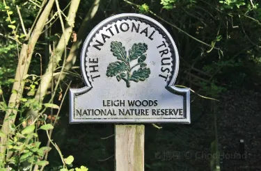 National Trust - Leigh Woods