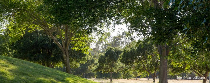 Sunnyvale Baylands Park