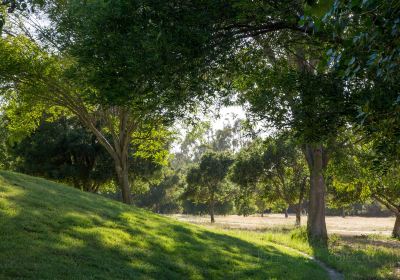 Baylands Park