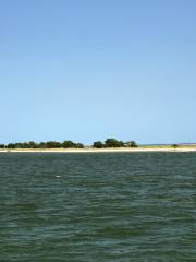 Bald Head Island Conservancy