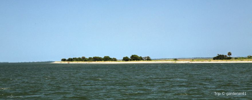 Bald Head Island Conservancy