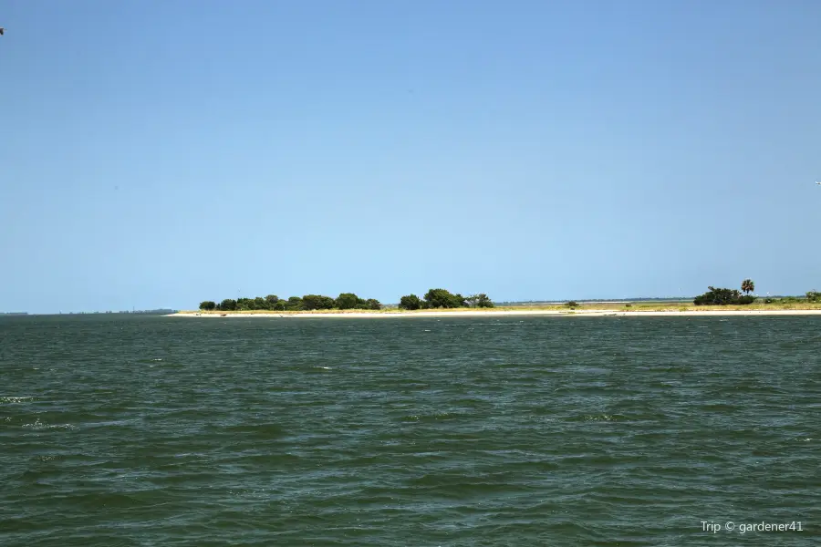 Bald Head Island Conservancy