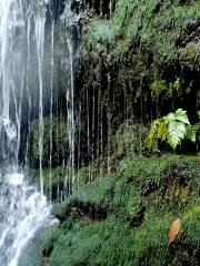 Lulumahu Waterfall