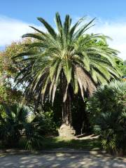 Jardin d'Acclimatation