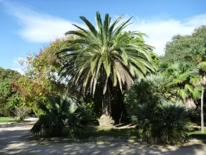 Jardin d'Acclimatation