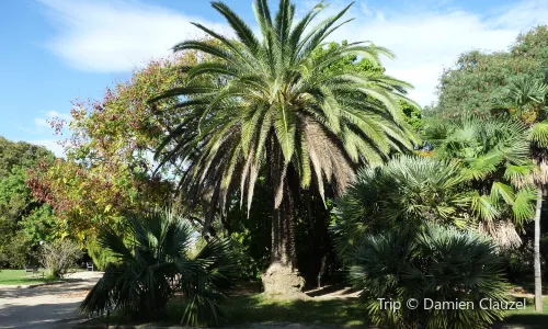 Jardin d'Acclimatation