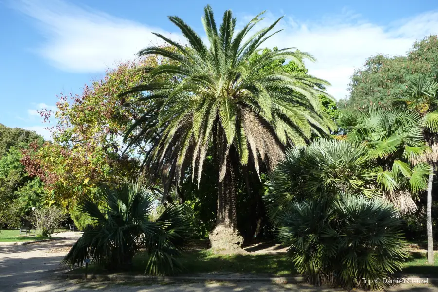 Jardín de Aclimatación