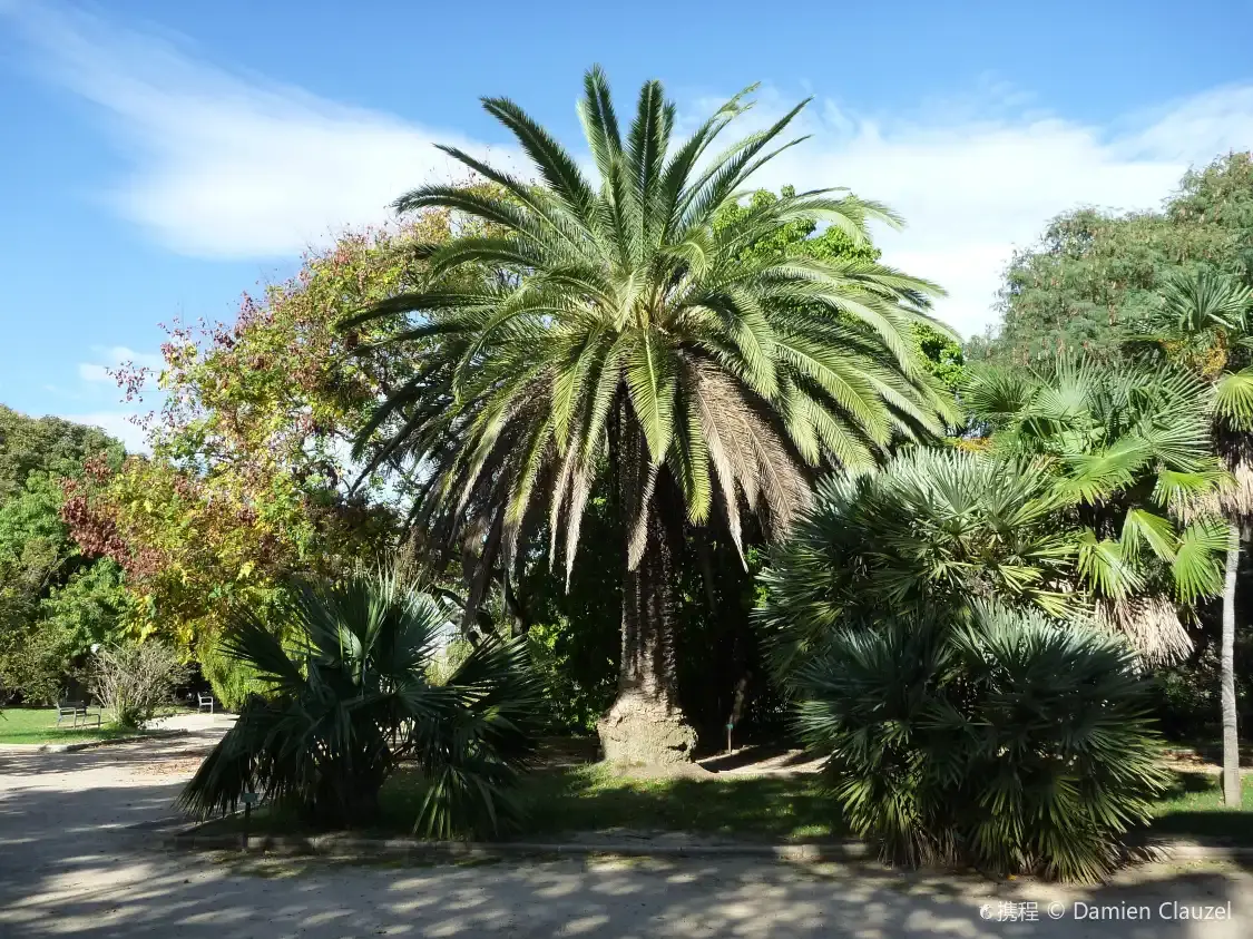 Hotels near Jardin d'Acclimatation