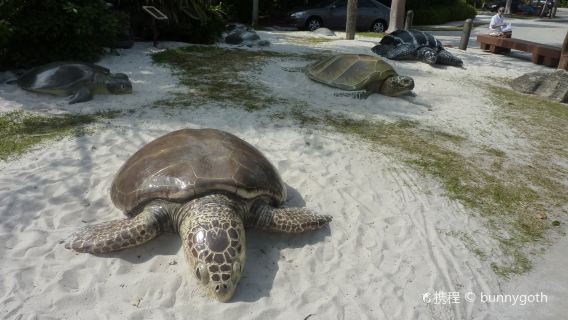 Gumbo Limbo Nature Center