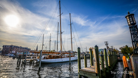 Annapolis Maritime Museum & Park
