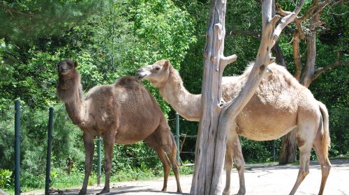 Roger Williams Park Zoo