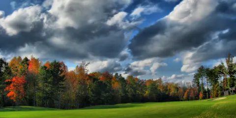 Old Thorns Golf Course