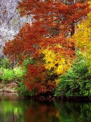 The Holden Arboretum