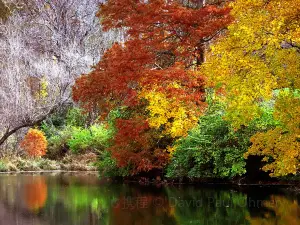 The Holden Arboretum