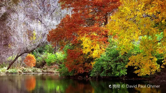 The Holden Arboretum