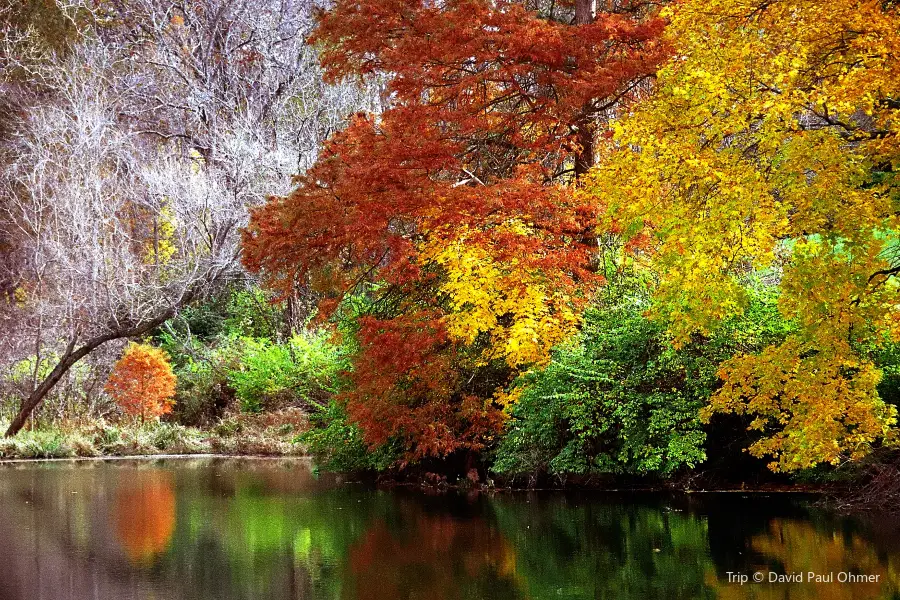 The Holden Arboretum