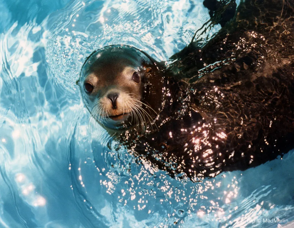 3_SeaWorld San Antonio
