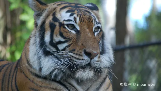 Naples Zoo at Caribbean Gardens