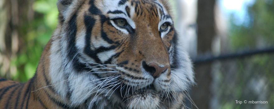 Naples Zoo at Caribbean Gardens