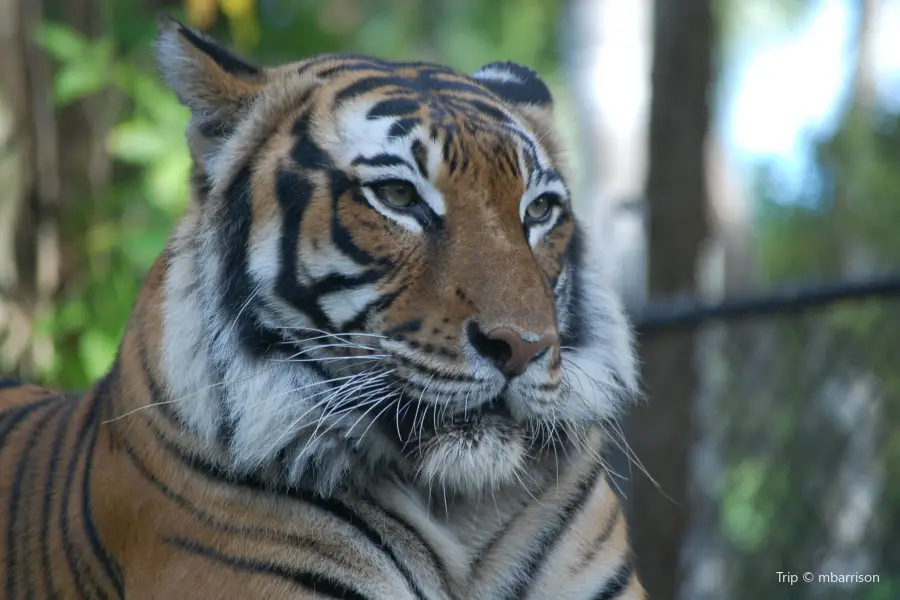 Naples Zoo at Caribbean Gardens