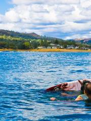 Lake Berryessa