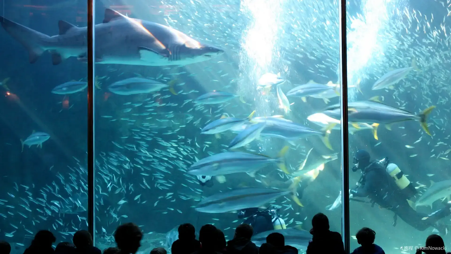 Hotels near Two Oceans Aquarium