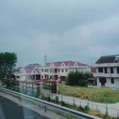 Jiayuhuxiao (haimen) User Photo