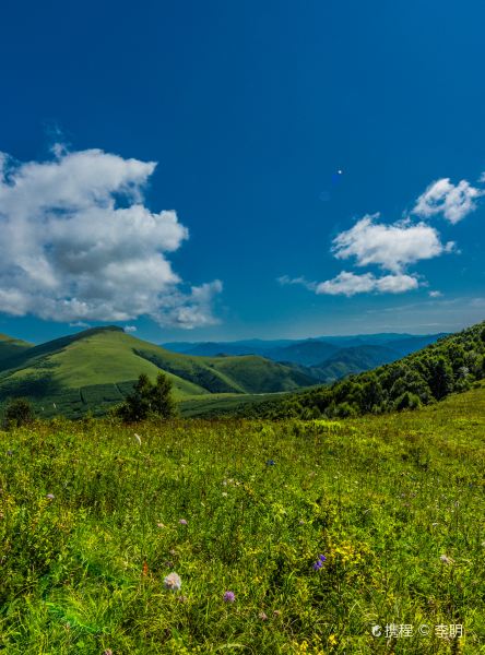 香港往張家口的機票