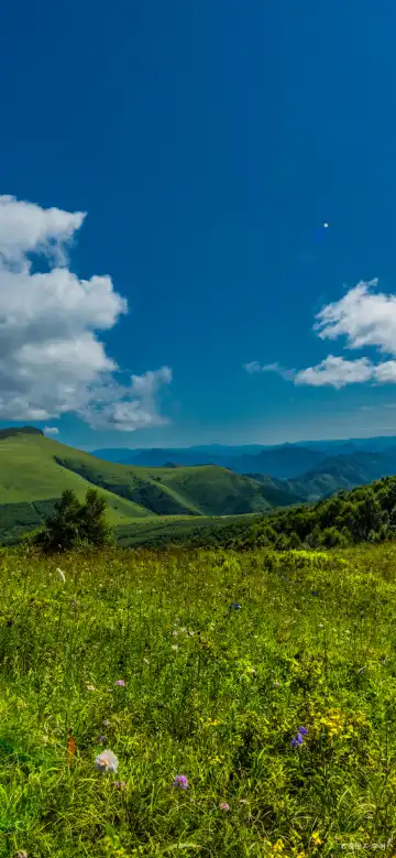 Hotels near Wanliu Park