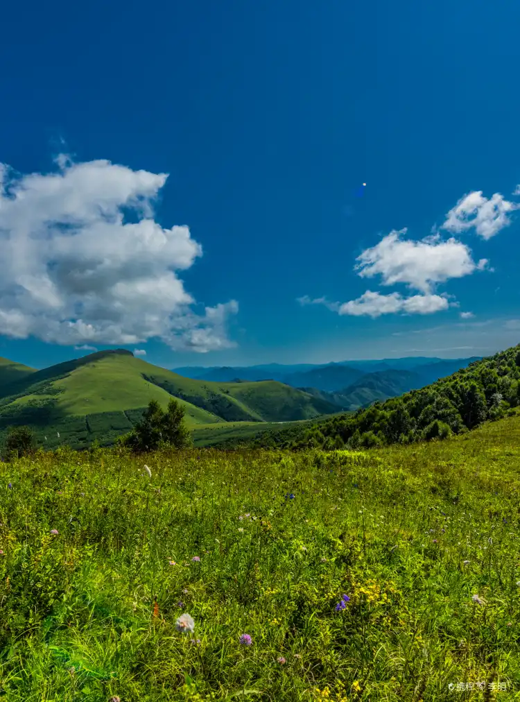 Wuhan University of Technology Network Education Zhangjiakou Branch Campus周辺のホテル