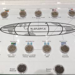 % Arabica User Photo