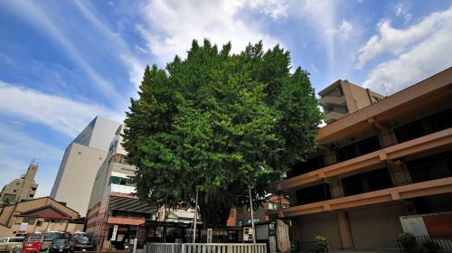 櫛田神社