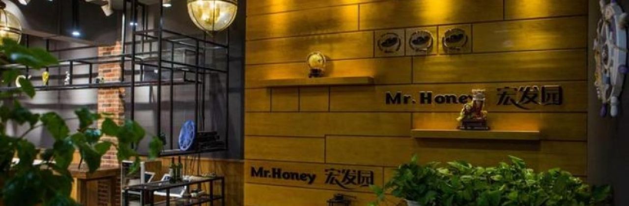 HONG FA YUAN ZHONG YANG DI JING DIAN