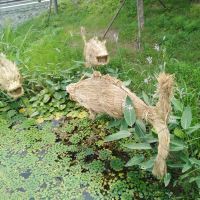 評論圖片 3