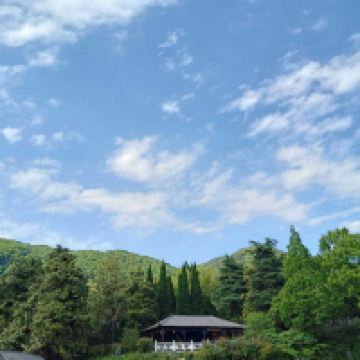 評論圖片 6