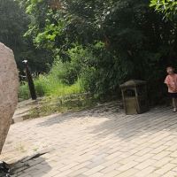 評論圖片 1