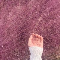 評論圖片 7