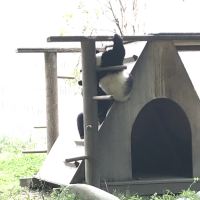 評論圖片 1
